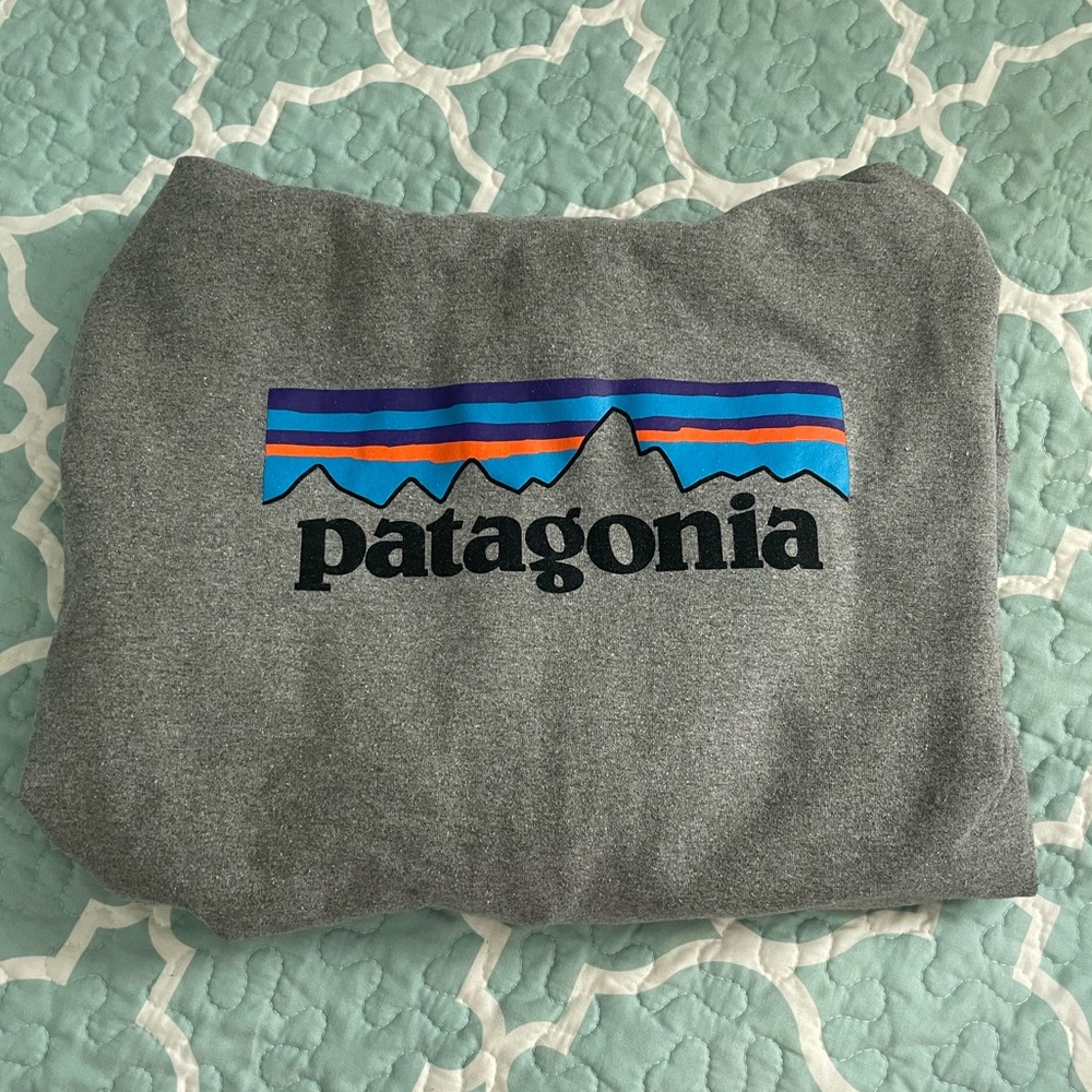 Gray Patagonia Sweatshirt